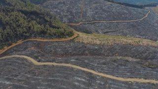 Havadan böyle görüntülendi