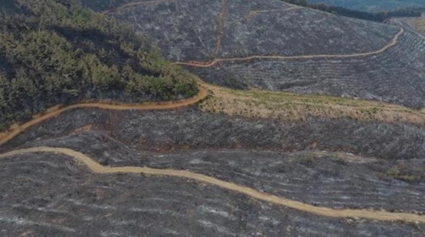 Havadan böyle görüntülendi
