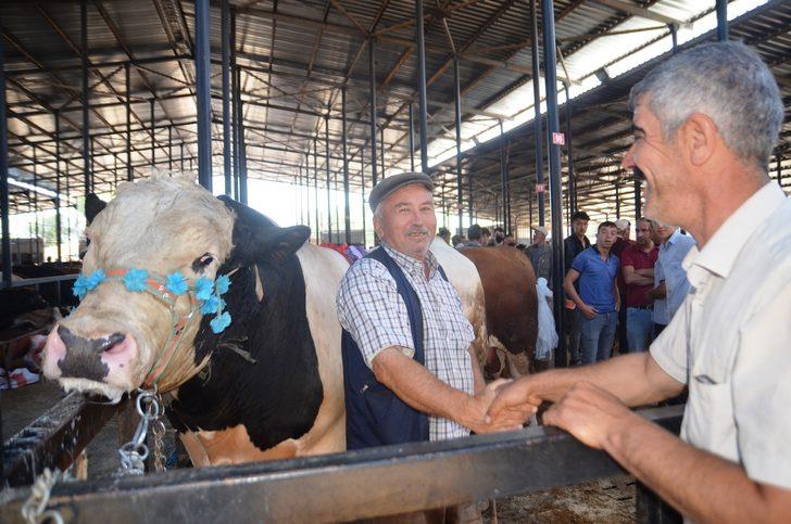 Kütahya'da kurban pazarında alışverişler başladı G2