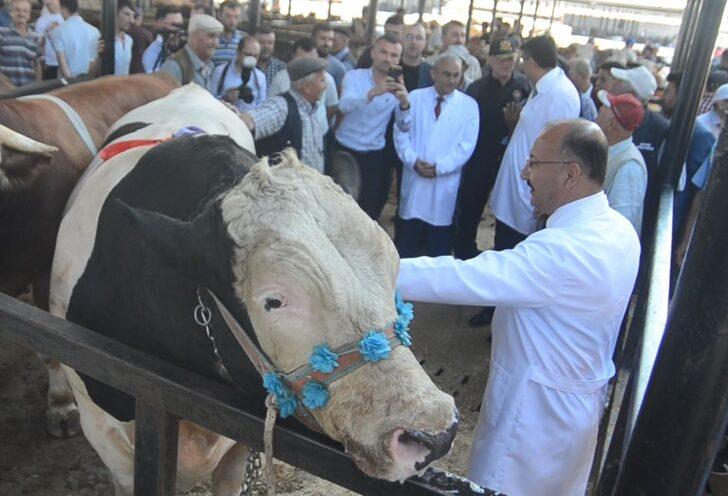 Kütahya'da kurban pazarında alışverişler başladı G3