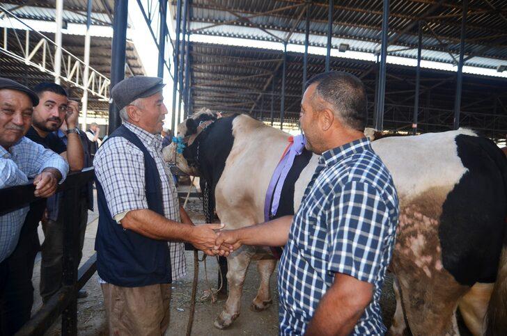 Kütahya'da kurban pazarında alışverişler başladı G4