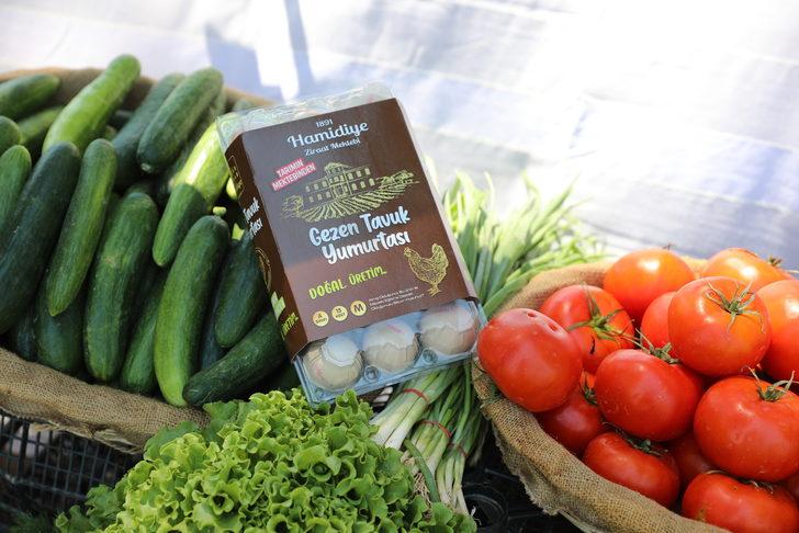 Bursa'nın ecdat yadigarı tarım lisesine yerleştirilecek öğrencilere burs verilecek G4