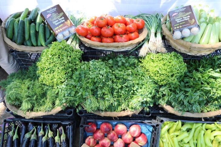 Bursa'nın ecdat yadigarı tarım lisesine yerleştirilecek öğrencilere burs verilecek G5