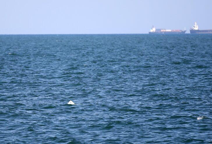 Alabora olan teknedeki 3 kişi yüzerek kurtuldu, 1 kişi botla kurtarıldı G2