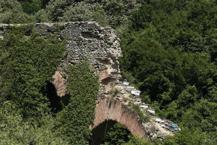 Kocaeli'de tarihi su kemeri üzerine arı kovanları konulmasına inceleme başlatıldı G2