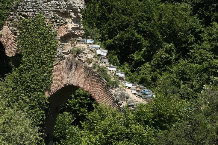 Kocaeli'de tarihi su kemeri üzerine arı kovanları konulmasına inceleme başlatıldı G4