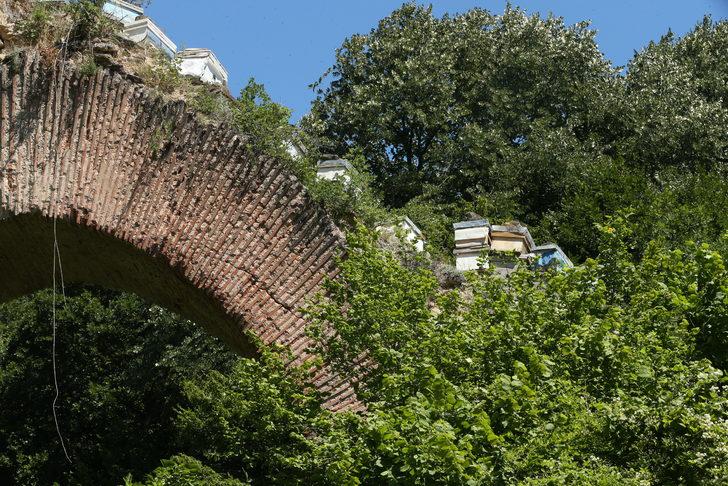 Kocaeli'de tarihi su kemeri üzerine arı kovanları konulmasına inceleme başlatıldı G5