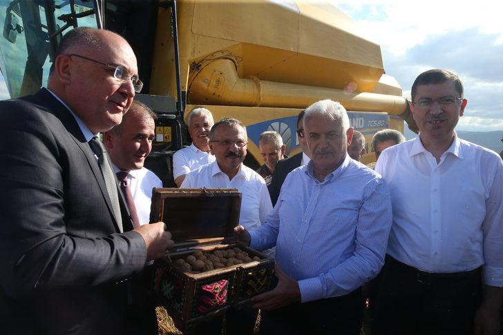 AK Parti Genel Başkanvekili Yıldırım Tokat'ta tarla günü etkinliğine katıldı G2