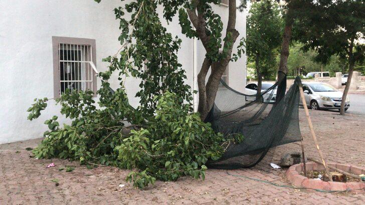 Kayseri'de ağaçtan düşen kişi öldü G2
