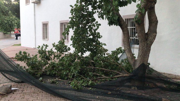 Kayseri'de ağaçtan düşen kişi öldü G3