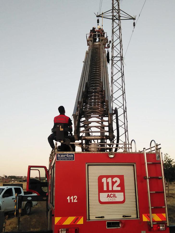 Şanlıurfa'da direkteki yuvada mahsur kalan leylekleri itfaiye kurtardı G2
