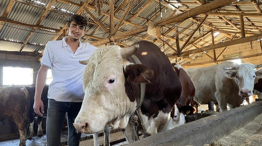 1,1 tonluk "Rocky" Adıyaman'da satışa çıkarıldı