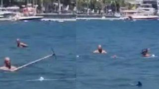 Marmaris'te köpek balığı diye Akdeniz Zarganası'nı paspas sopasıyla kovalamışlardı! O adam konuştu: Balığı 2 gündür takipteydim