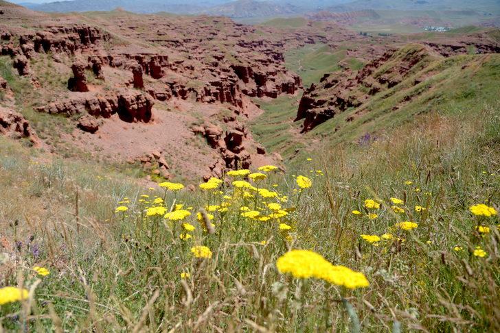 Yıllık ziyaretçi sayısında 1 milyonu aşan Erzurum turizmde hedef yükseltti G2