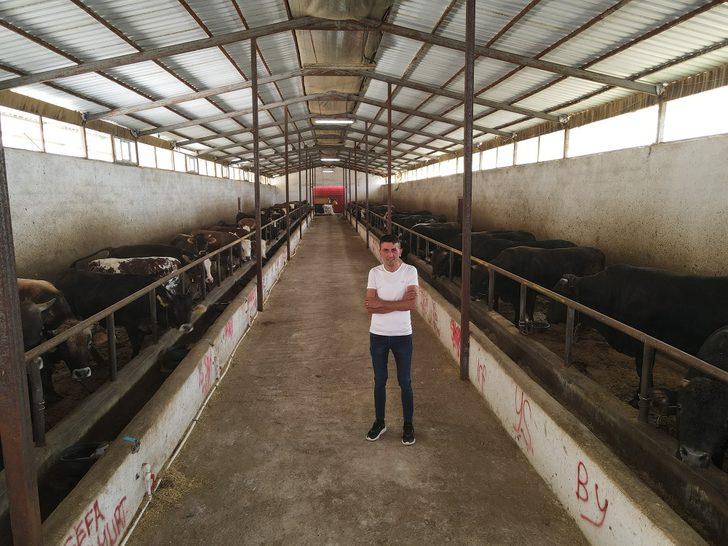 Mandırasının çatısını TKDK desteğiyle güneş enerji santraline dönüştürdü G2