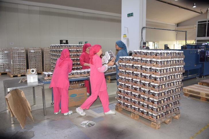 FİSKOBİRLİK Başkanı Lütfi Bayraktar, birliğin çalışmalarını değerlendirdi: G5