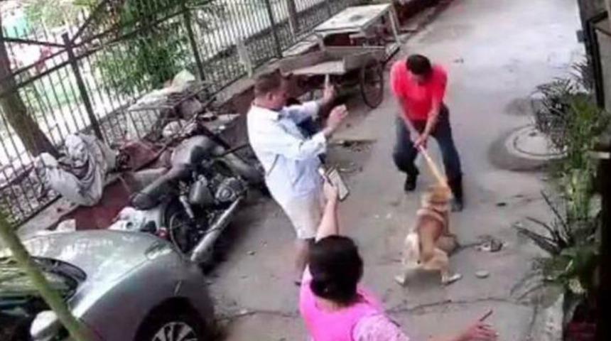 Köpeğin havlanmasına sinirlendi! Demir çubukla yüzüne vurunca ortalık bir anda karıştı
