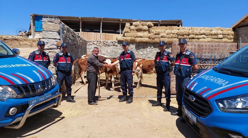 Aksaray'da çalınan 8 büyükbaş bulunarak sahibine teslim edildi