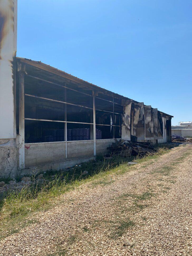 Kahramanmaraş'ta çiftlikte çıkan yangında 60 bin tavuk telef oldu G3