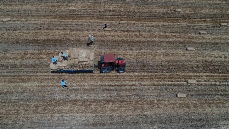 Tekirdağ'da balya işçilerinin zorlu mesaisi başladı G1