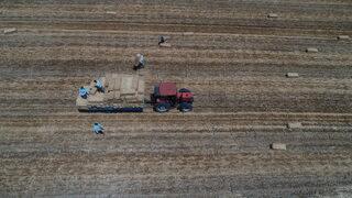 Tekirdağ'da balya işçilerinin zorlu mesaisi başladı
