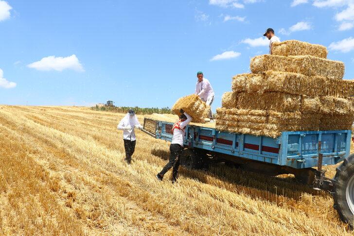 Tekirdağ'da balya işçilerinin zorlu mesaisi başladı G2