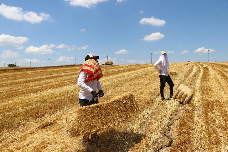 Tekirdağ'da balya işçilerinin zorlu mesaisi başladı G3