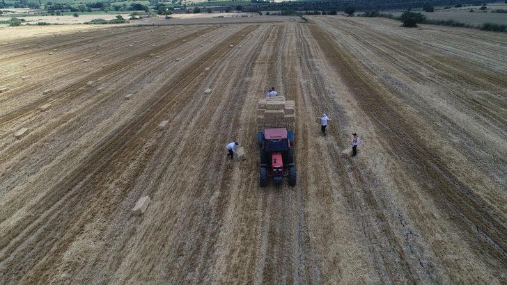 Tekirdağ'da balya işçilerinin zorlu mesaisi başladı G4