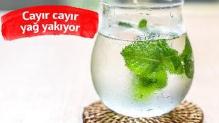 Her mevsim naneli su içmenin sağladığı etkileyici faydalar! Yağları cayır cayır yakıyor...