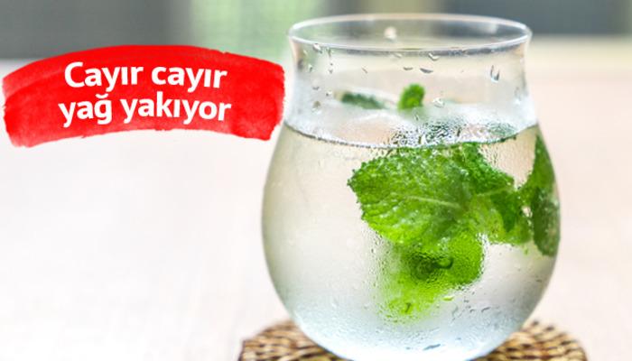 Her mevsim naneli su içmenin sağladığı etkileyici faydalar! Yağları cayır cayır yakıyor...