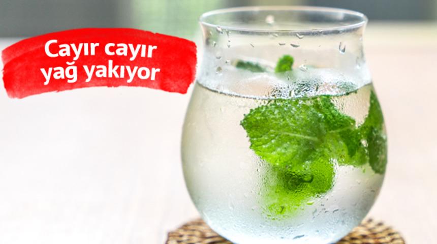 Her mevsim naneli su içmenin sağladığı etkileyici faydalar! Yağları cayır cayır yakıyor...