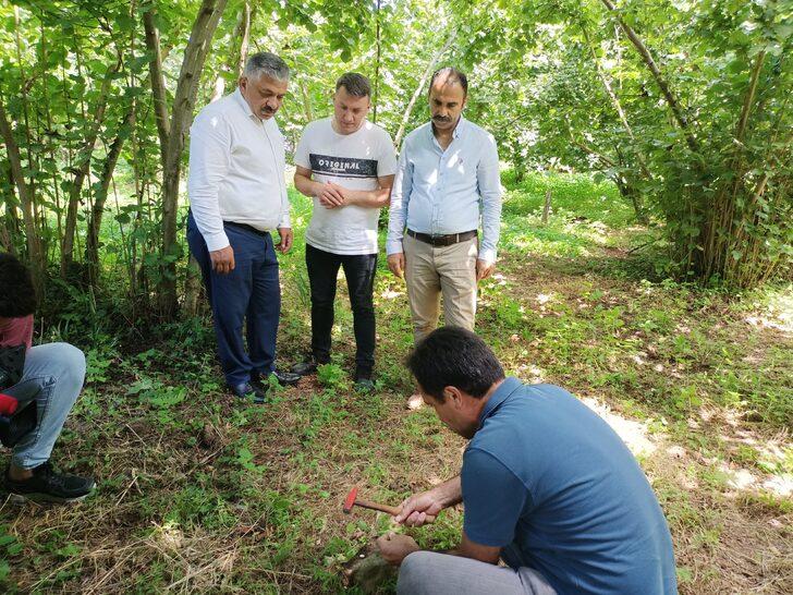 Ordu'da fındıkta rekolte tespit çalışmaları sürüyor G3