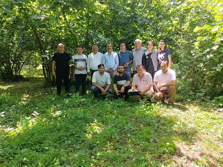 Ordu'da fındıkta rekolte tespit çalışmaları sürüyor G4