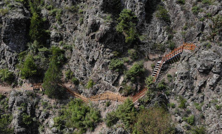 Artvin'deki Çoruh Ekoturizm Yolu doğaseverler için farklı alternatifler sunuyor G3