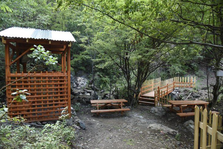 Artvin'deki Çoruh Ekoturizm Yolu doğaseverler için farklı alternatifler sunuyor G4