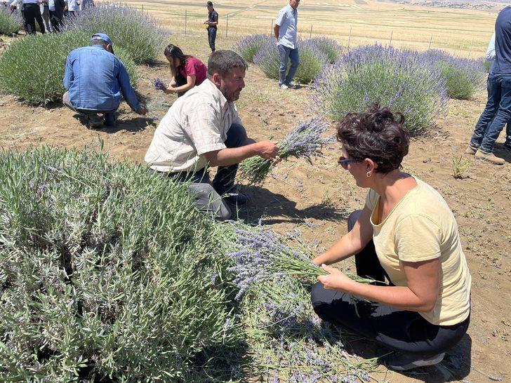 Malatya'da lavanta hasadı G4