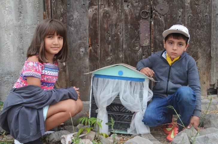 Öğrenciler atık malzemeleri hayvanlar için yuvaya dönüştürdü G1