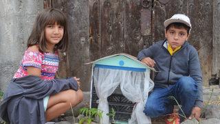 Öğrenciler atık malzemeleri hayvanlar için yuvaya dönüştürdü