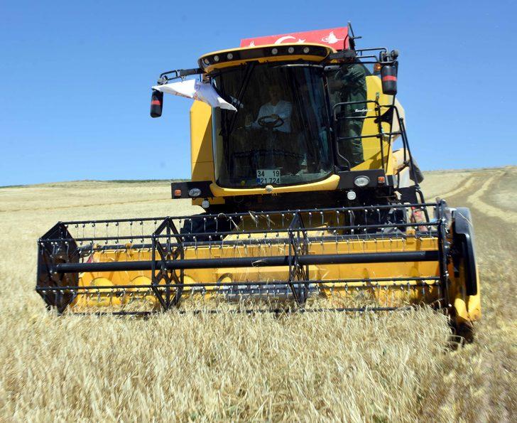 Kırıkkale'de çörek otu ekim alanı artırılacak G4