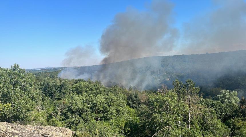 Edirne’de çıkan orman yangınına müdahale ediliyor