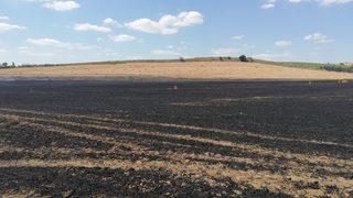 Tekirdağ'da buğday ekili 25 dönüm alan yandı