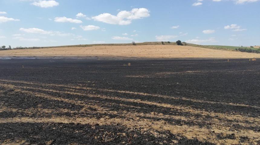 Tekirdağ'da buğday ekili 25 dönüm alan yandı