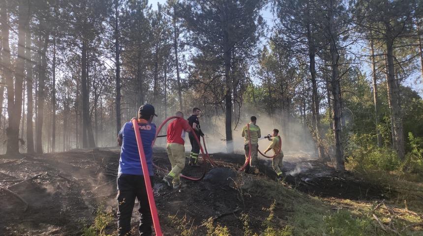 GÜNCELLEME - Edirne’de çıkan orman yangını kontrol altına alındı