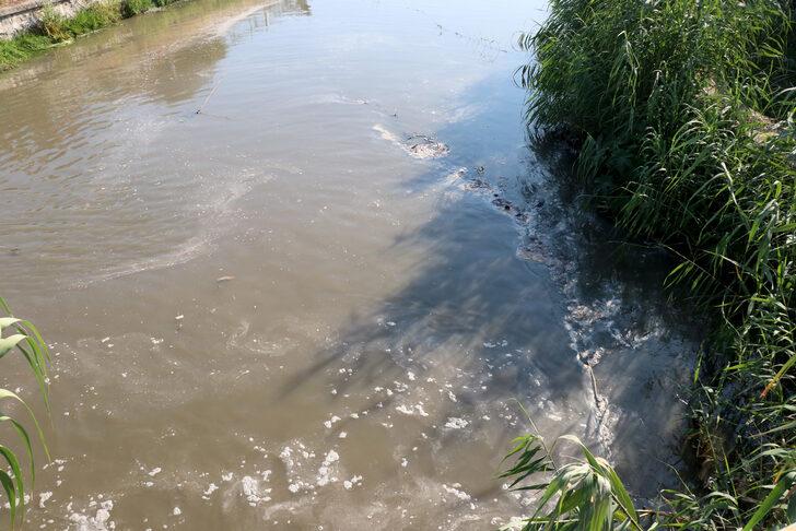 Kanalizasyon giderinin arıtılmadan Fethiye Körfezi'ne akıtıldığı iddiası G4