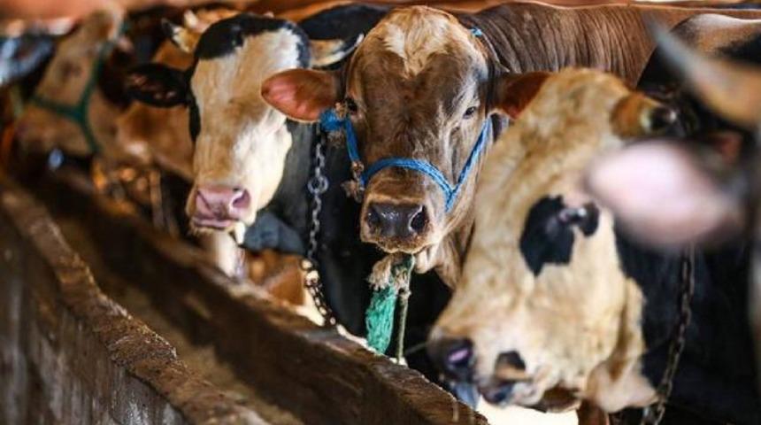 Arefe günü tatil mi? 2022 Kurban Bayramı arefe günü ne zaman, yarım gün mü?