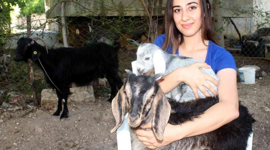 Böylesi milyonda bir oluyor! Adıyaman'da yaşandı: Hamileyken tekrar hamile kaldı