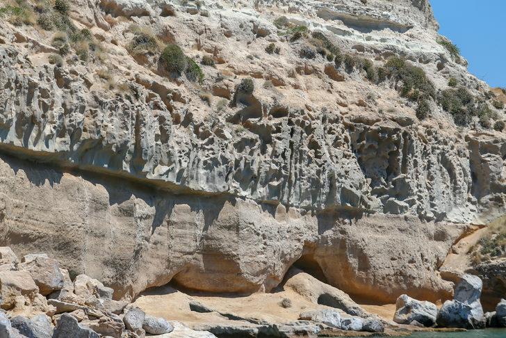 Karaburun-Ildır Körfezi'ndeki doğal yaşam kayıt altında G5