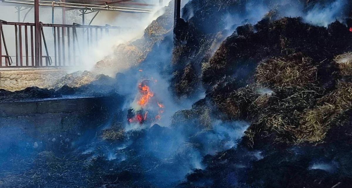 Muğla'da bir &ccedil;iftlikte &ccedil;ıkan yangın s&ouml;nd&uuml;r&uuml;ld&uuml;