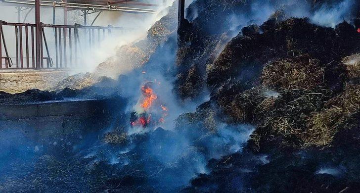 Muğla'da bir çiftlikte çıkan yangın söndürüldü G1