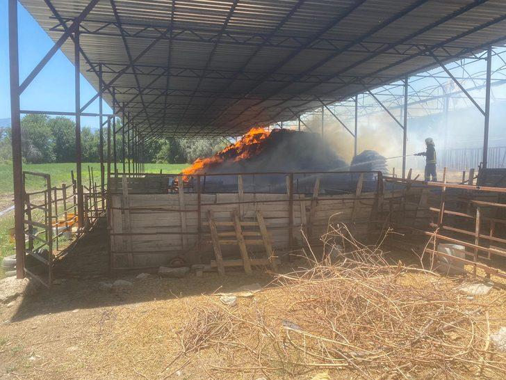 Muğla'da bir çiftlikte çıkan yangın söndürüldü G2